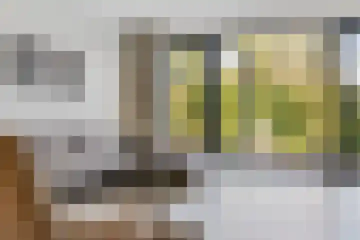 Grimhuijsenhof 21 Ulvenhout thumbnail 13