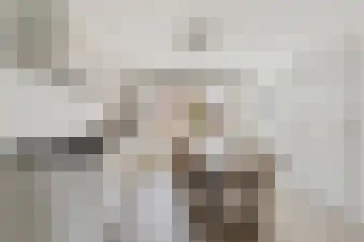 Grimhuijsenhof 21 Ulvenhout thumbnail 17