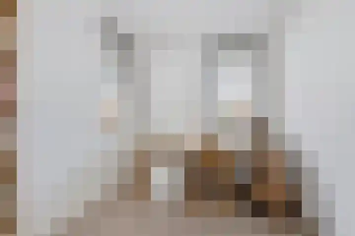 Grimhuijsenhof 21 Ulvenhout thumbnail 22