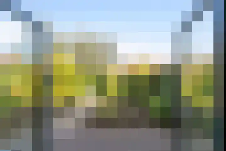 Grimhuijsenhof 21 Ulvenhout thumbnail 35