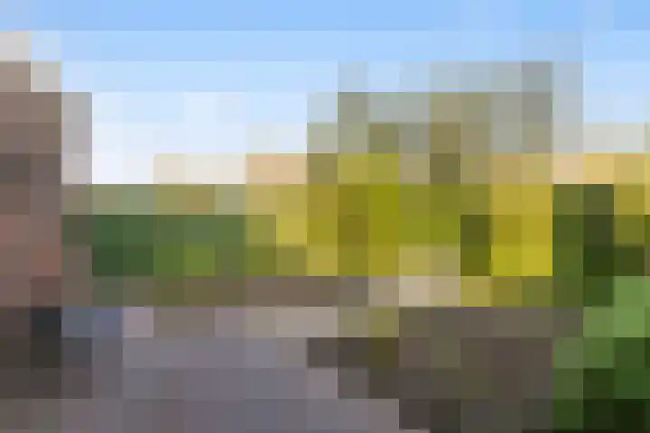 Grimhuijsenhof 21 Ulvenhout thumbnail 36