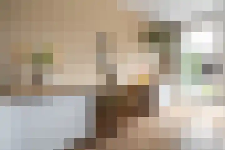 Grimhuijsenhof 22 Ulvenhout thumbnail 14