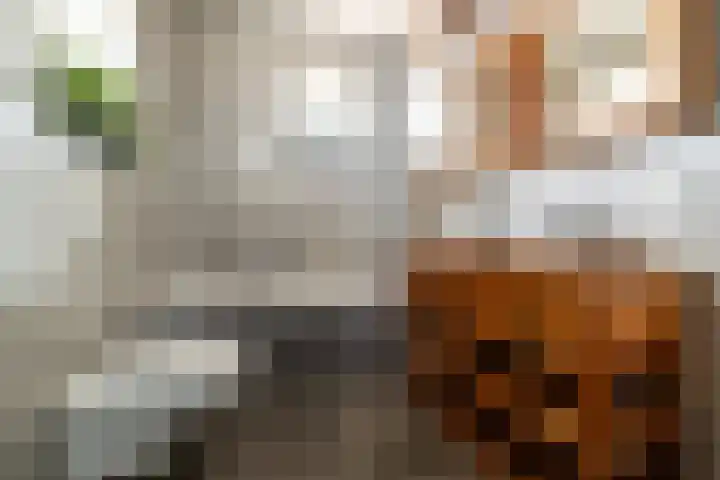 Grimhuijsenhof 22 Ulvenhout thumbnail 19