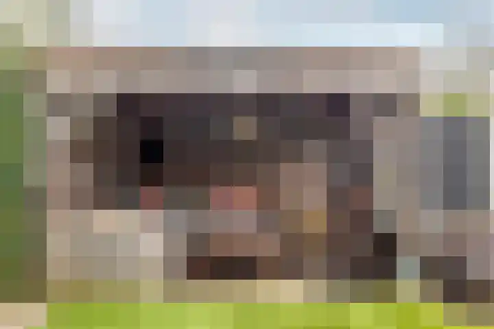 Grimhuijsenhof 22 Ulvenhout thumbnail 31