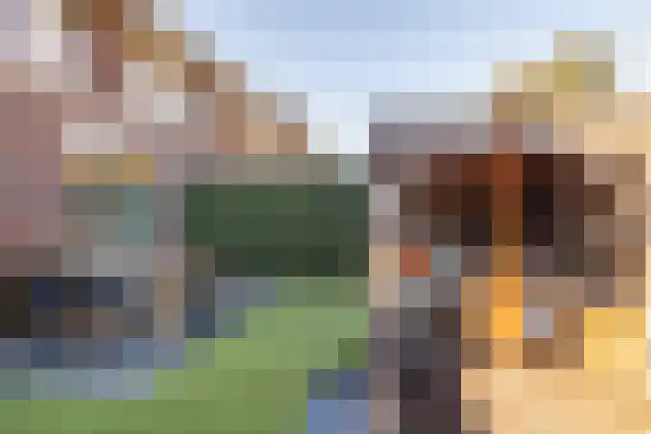 Grimhuijsenhof 22 Ulvenhout thumbnail 32