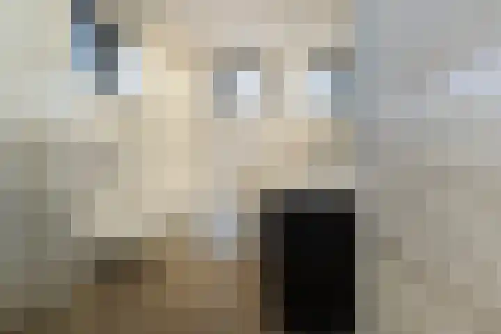 Grimhuijsenhof 28 Ulvenhout thumbnail 35
