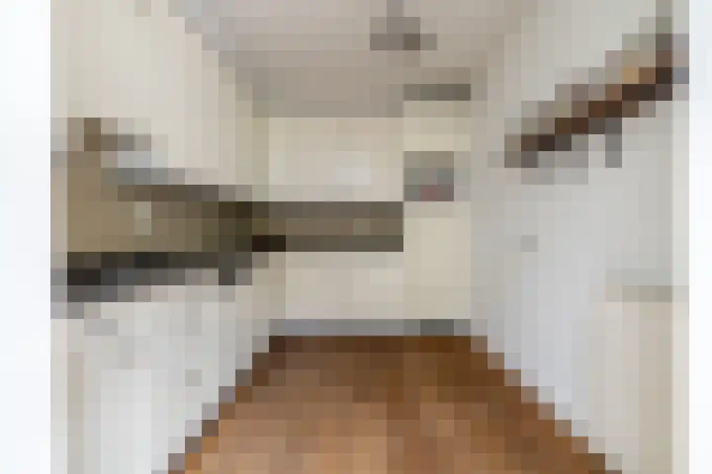 Grimhuijsenstraat 18 Ulvenhout thumbnail 19