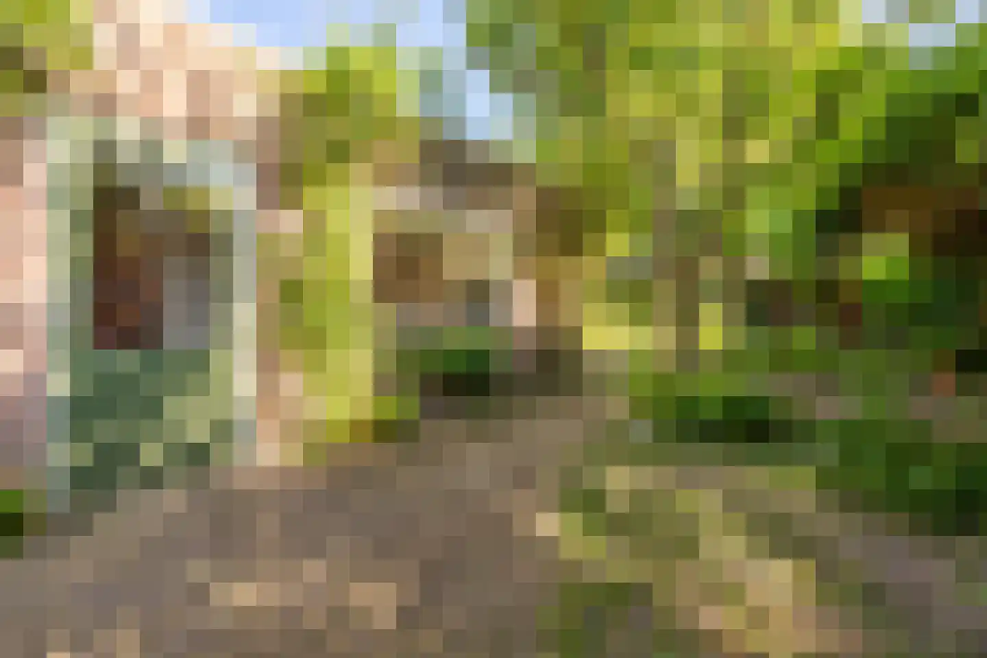Grimhuijsenstraat 18 Ulvenhout thumbnail 30