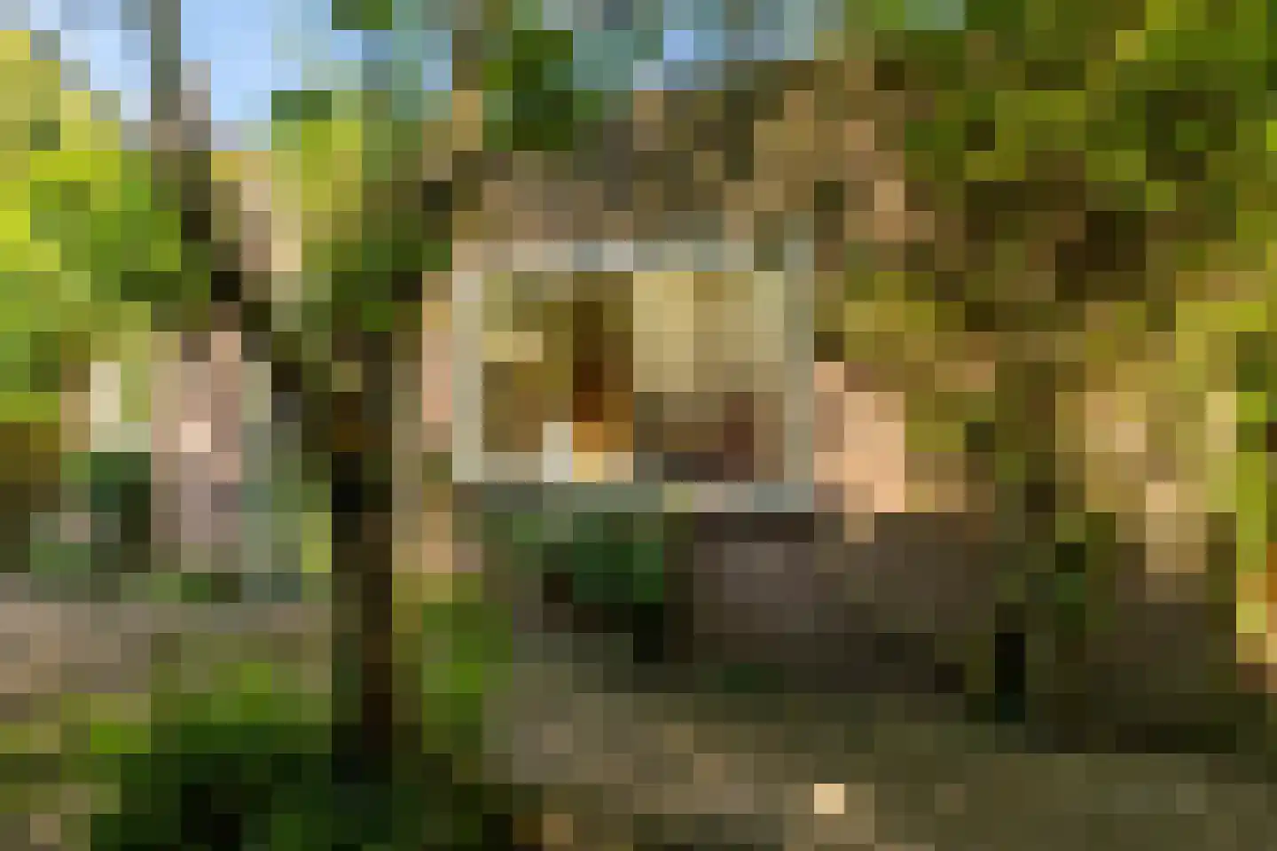 Grimhuijsenstraat 18 Ulvenhout thumbnail 31