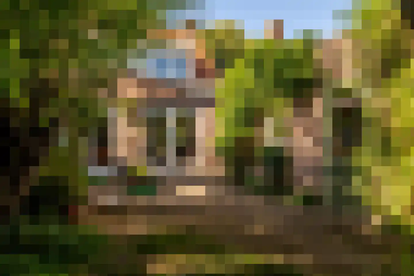 Grimhuijsenstraat 18 Ulvenhout thumbnail 39