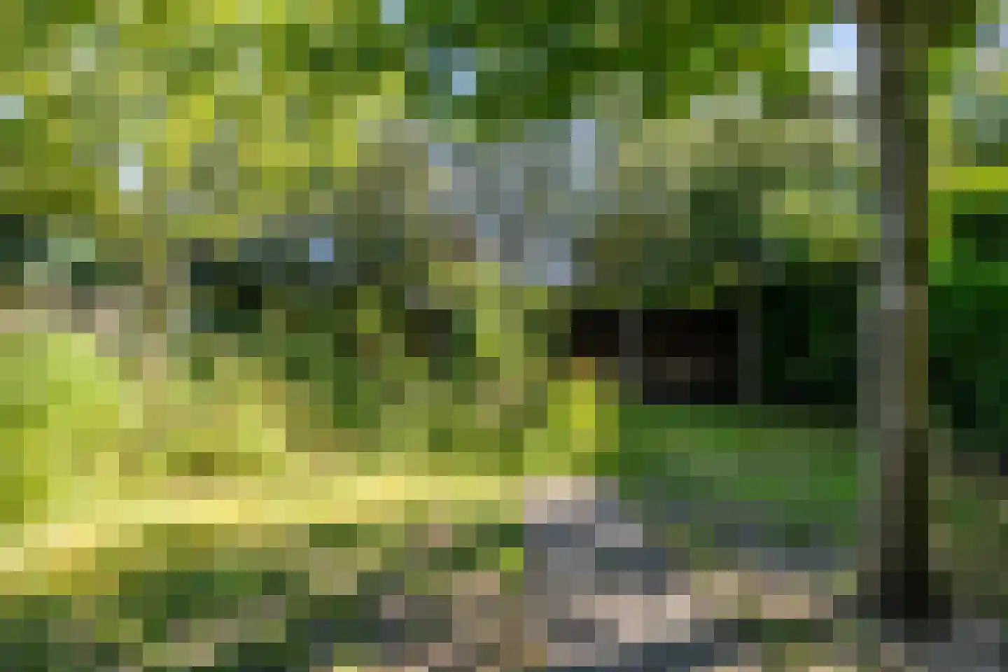 Grimhuijsenstraat 18 Ulvenhout thumbnail 42