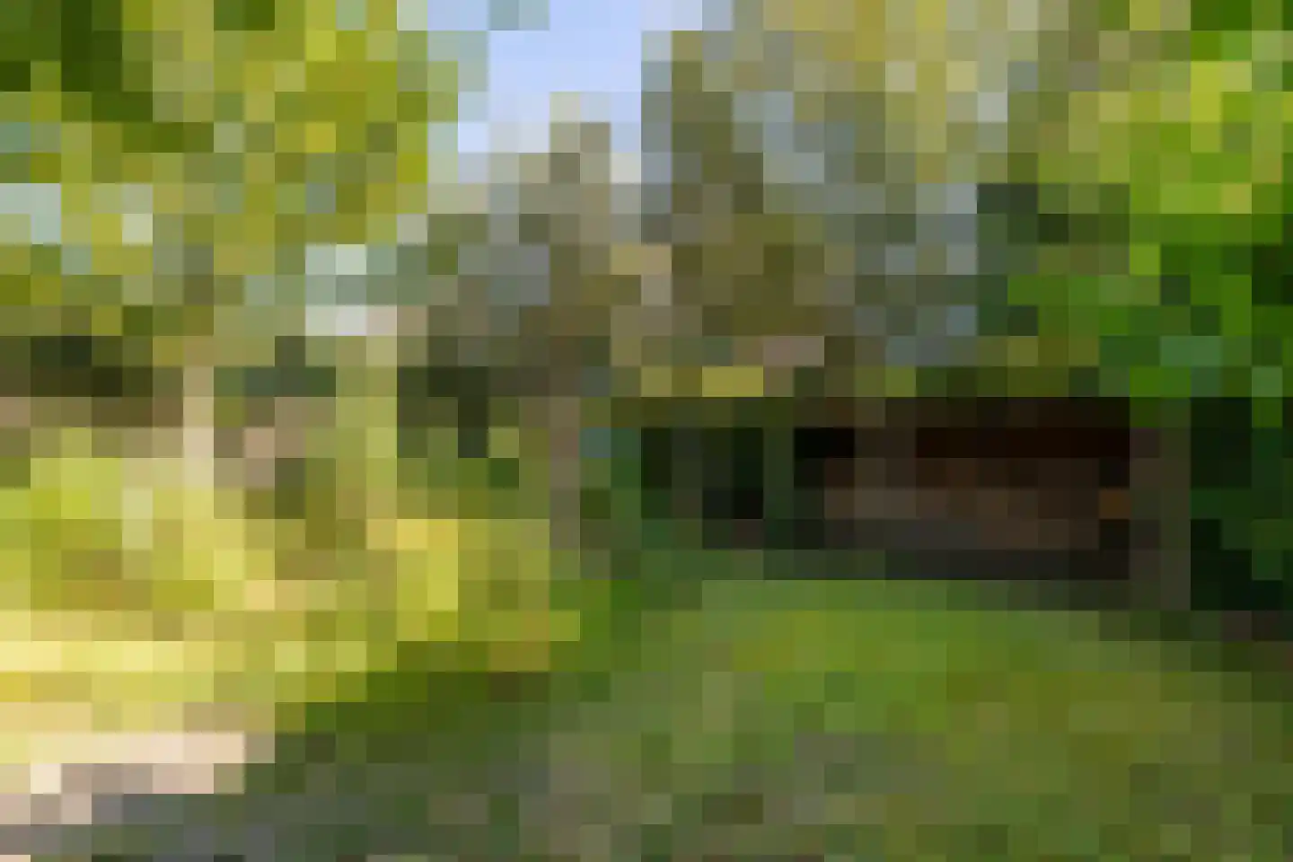Grimhuijsenstraat 18 Ulvenhout thumbnail 43