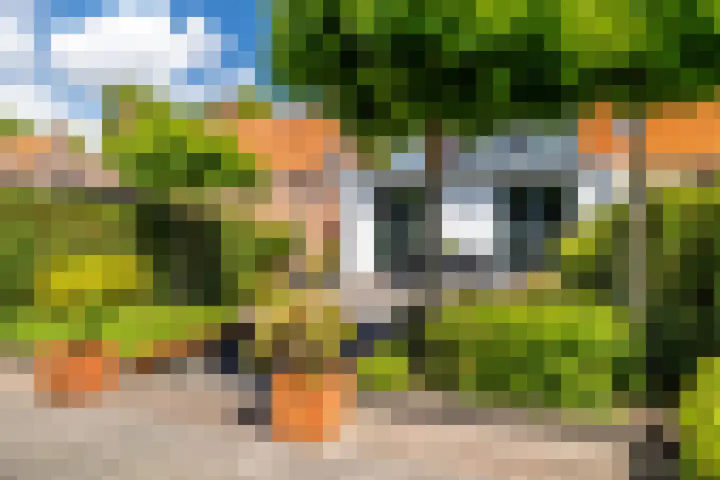 Grimhuijsenstraat 24 Ulvenhout thumbnail 29