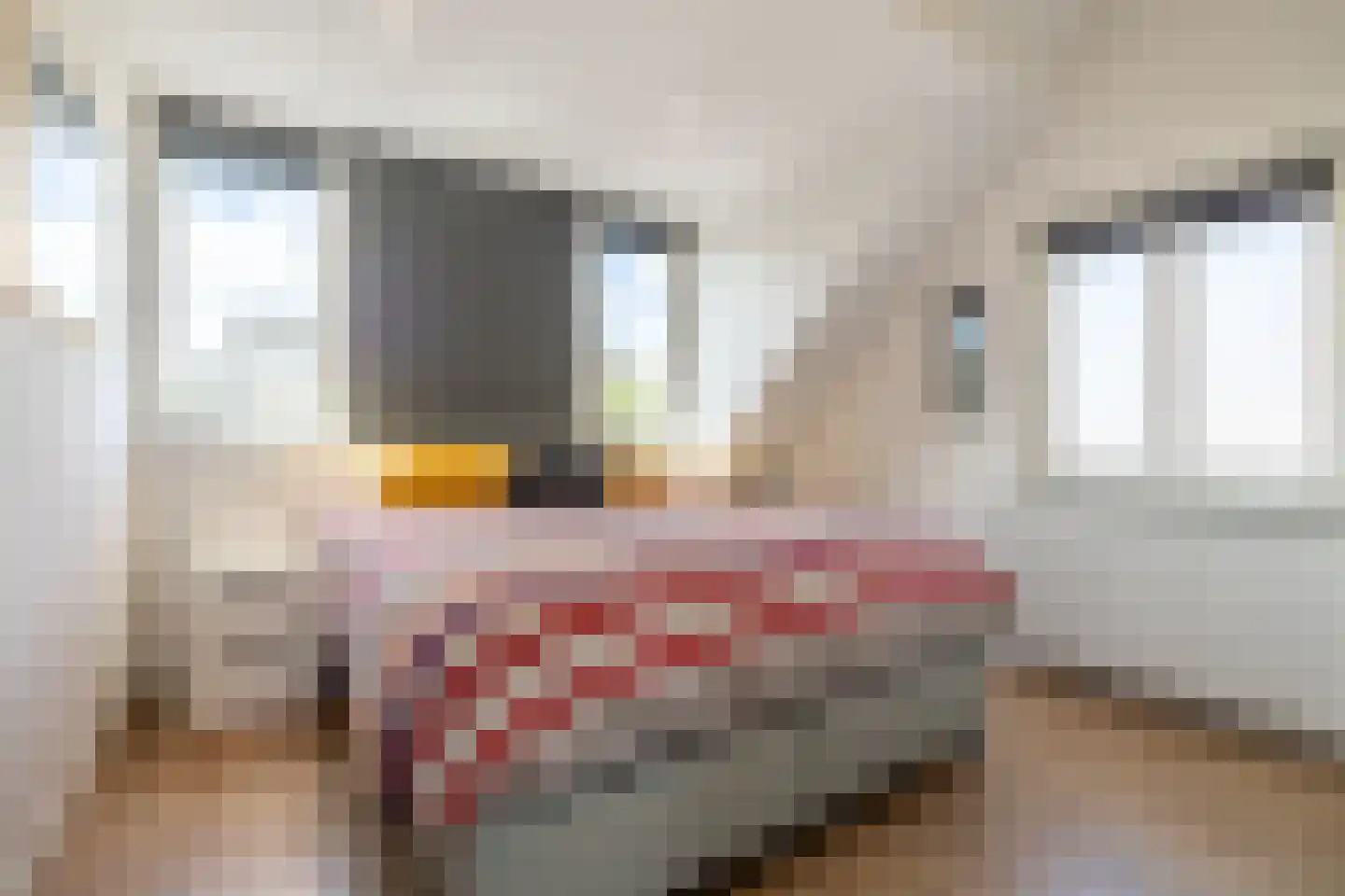 Grimhuijsenstraat 24 Ulvenhout thumbnail 35
