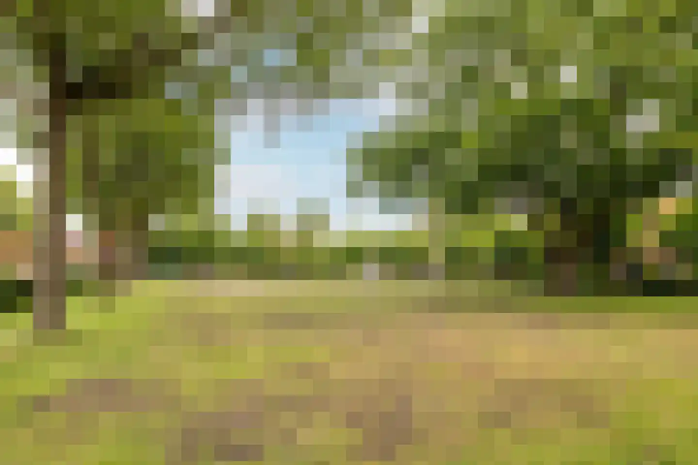 Grimhuijsenstraat 24 Ulvenhout thumbnail 45