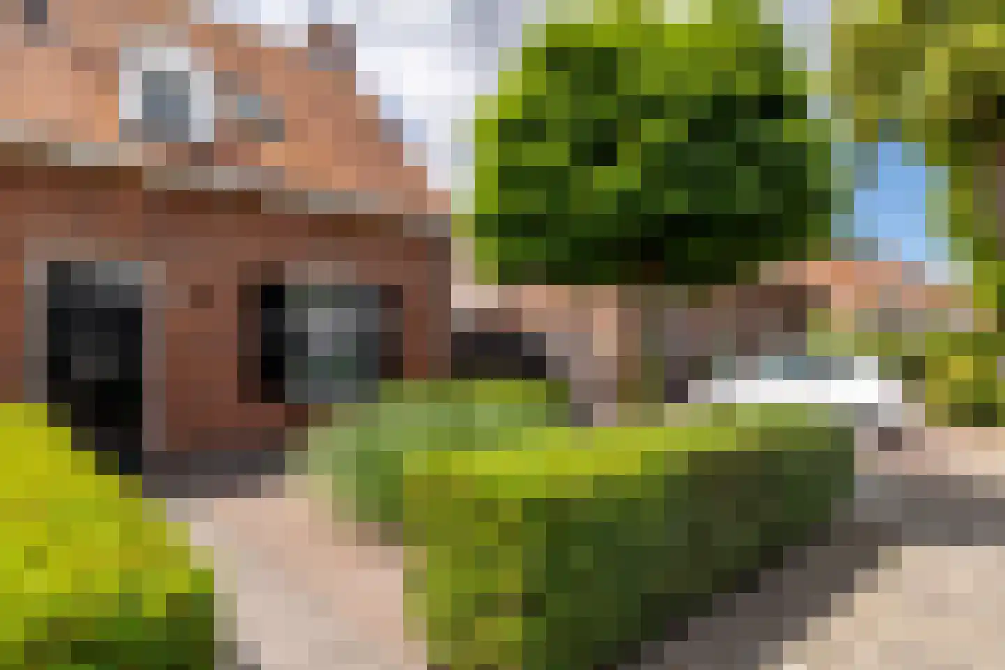 Grimhuijsenstraat 24 Ulvenhout thumbnail 7