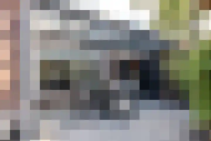 Grimhuijsenstraat 34 Ulvenhout thumbnail 25
