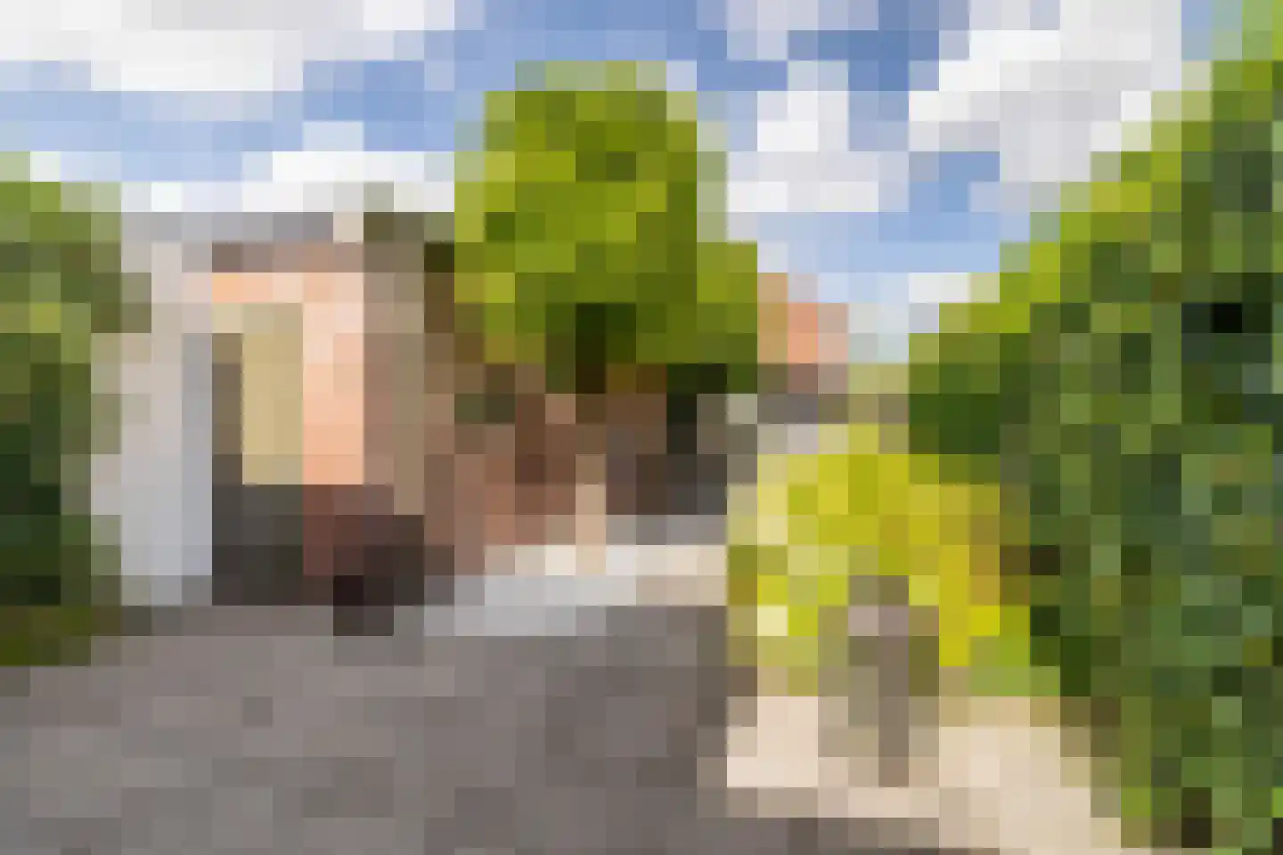 Grimhuijsenstraat 35 Ulvenhout thumbnail 15