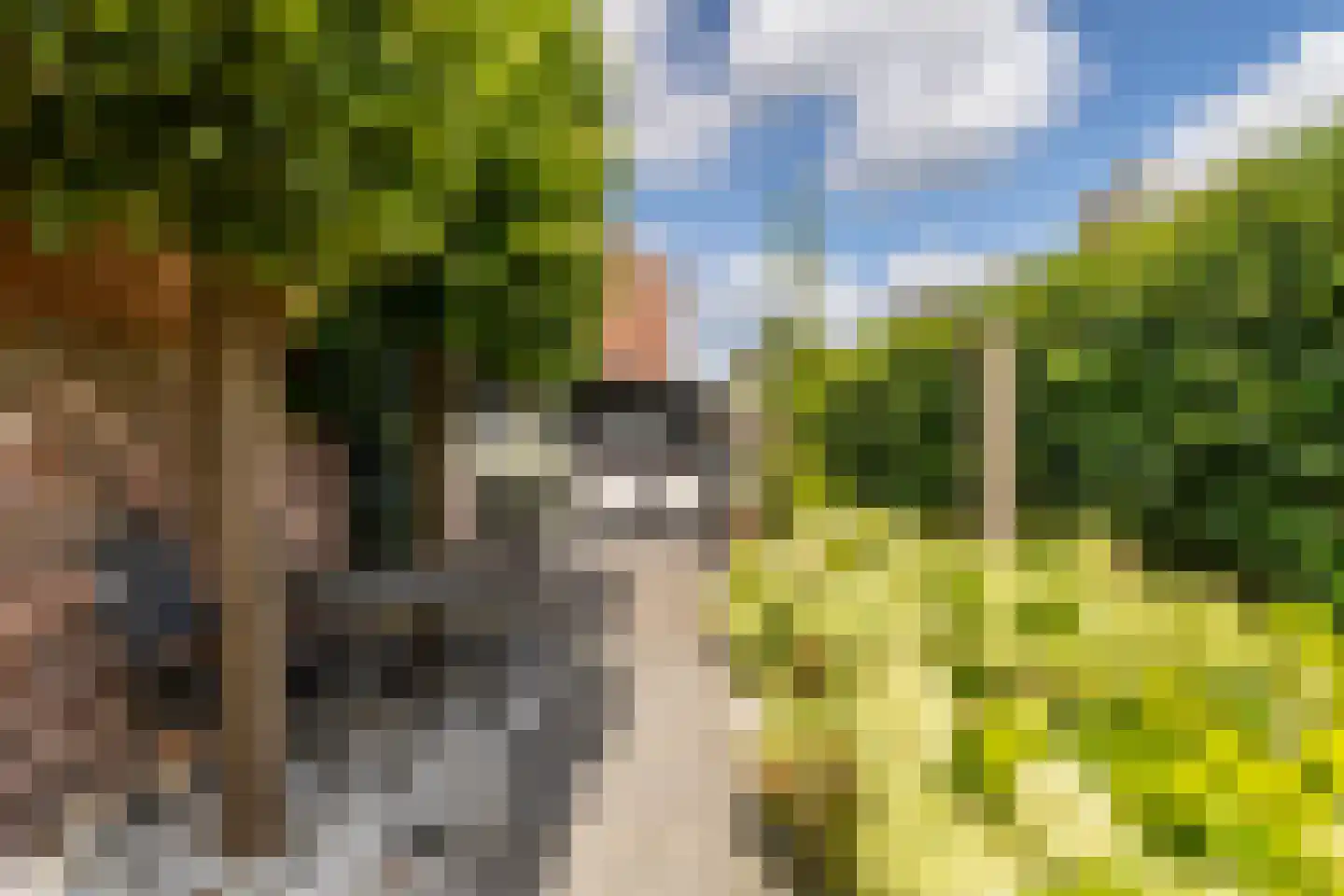 Grimhuijsenstraat 35 Ulvenhout thumbnail 16