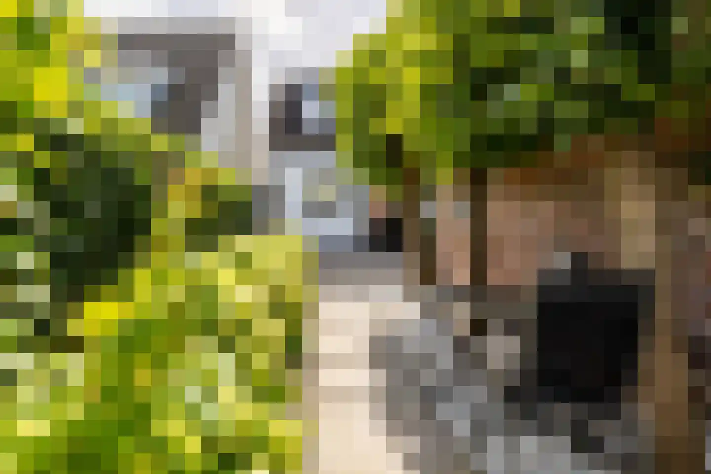 Grimhuijsenstraat 35 Ulvenhout thumbnail 19