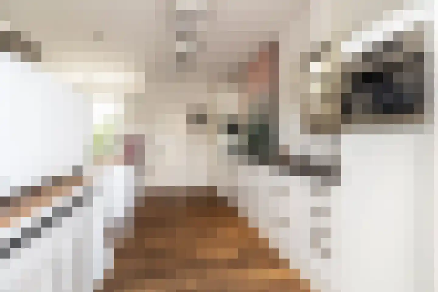 Grimhuijsenstraat 35 Ulvenhout thumbnail 4