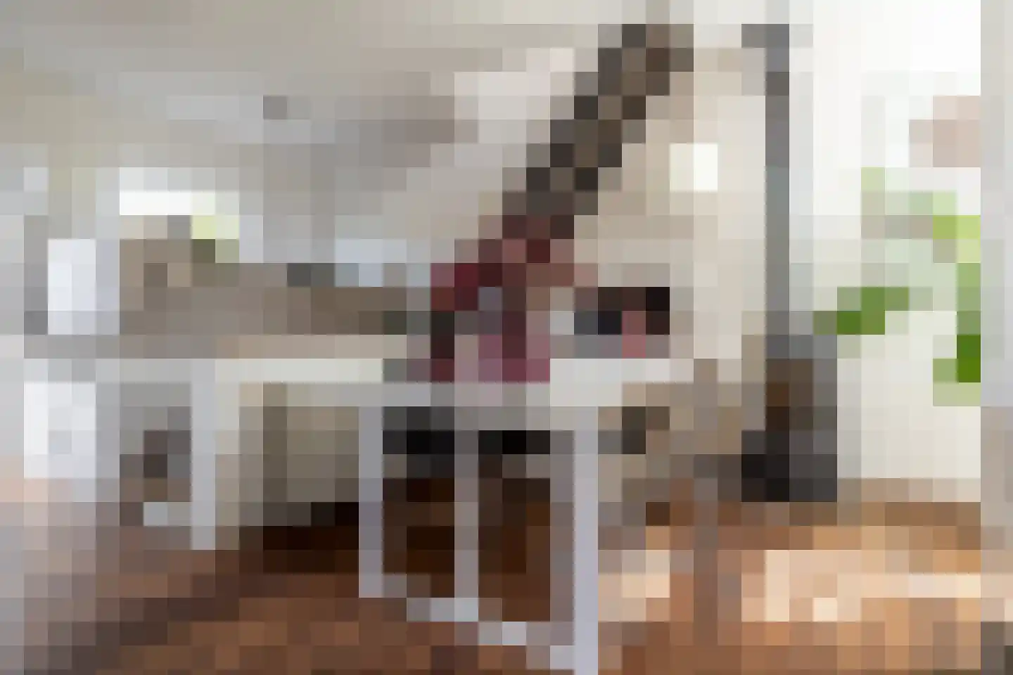 Grimhuijsenstraat 35 Ulvenhout thumbnail 7