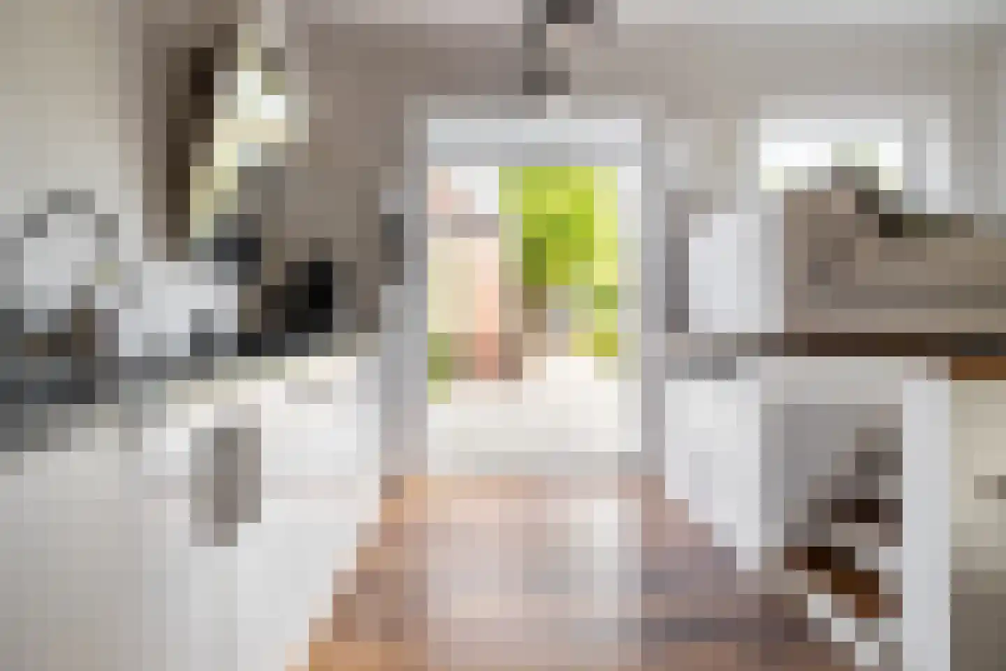 Grimhuijsenstraat 35 Ulvenhout thumbnail 9