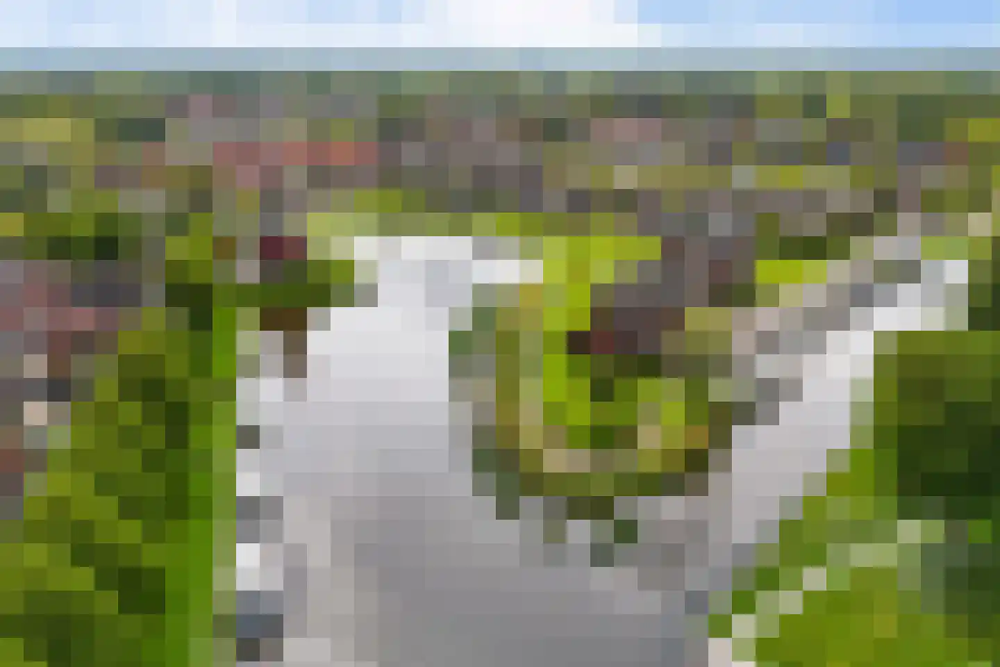 Grimma Herna 17 1 Dokkum thumbnail 30