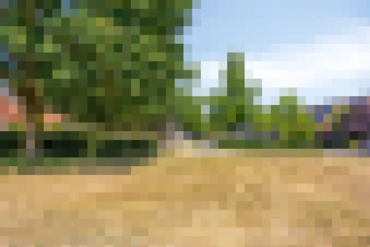 Grimselpas 27 Eindhoven thumbnail 40