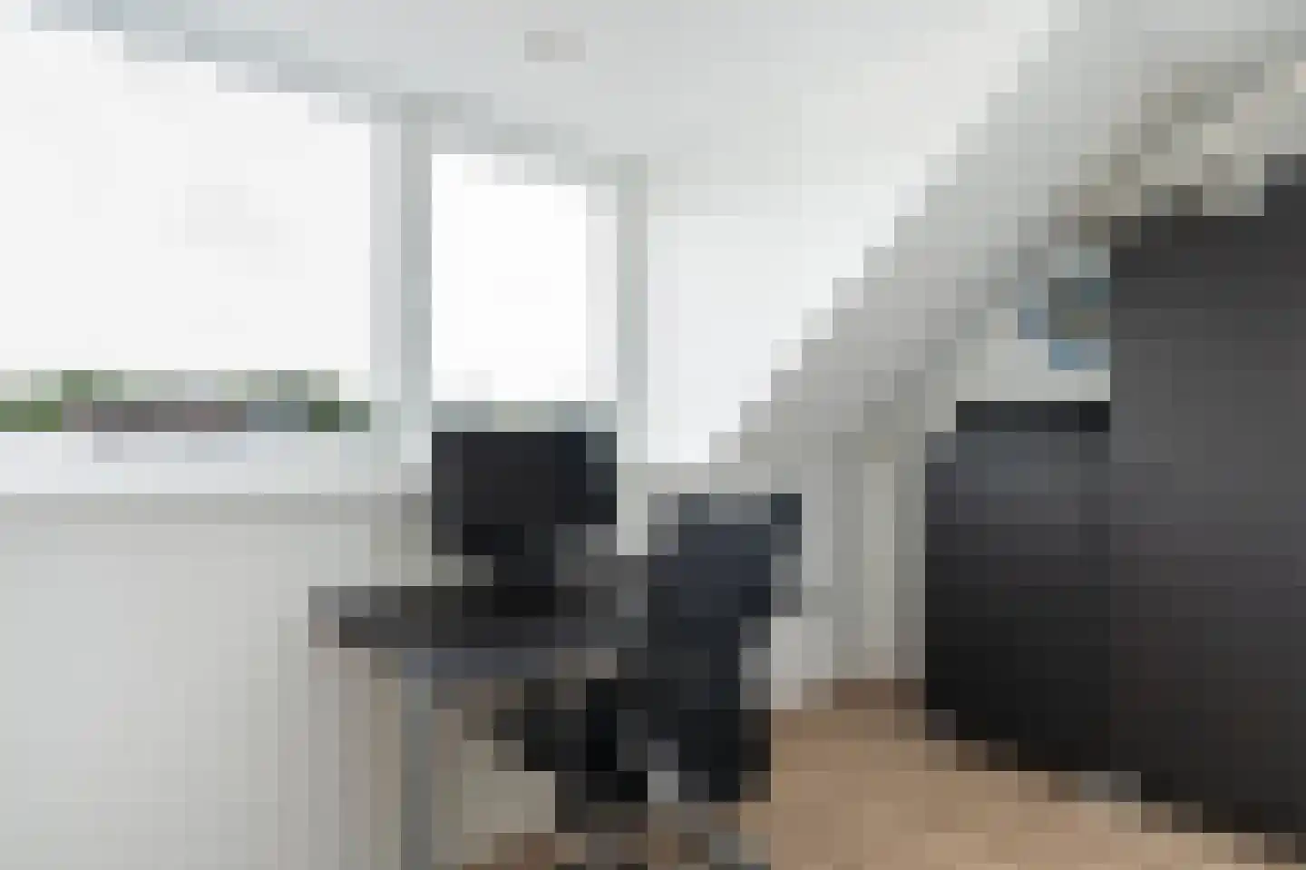 Grimselpas 5 Eindhoven thumbnail 30