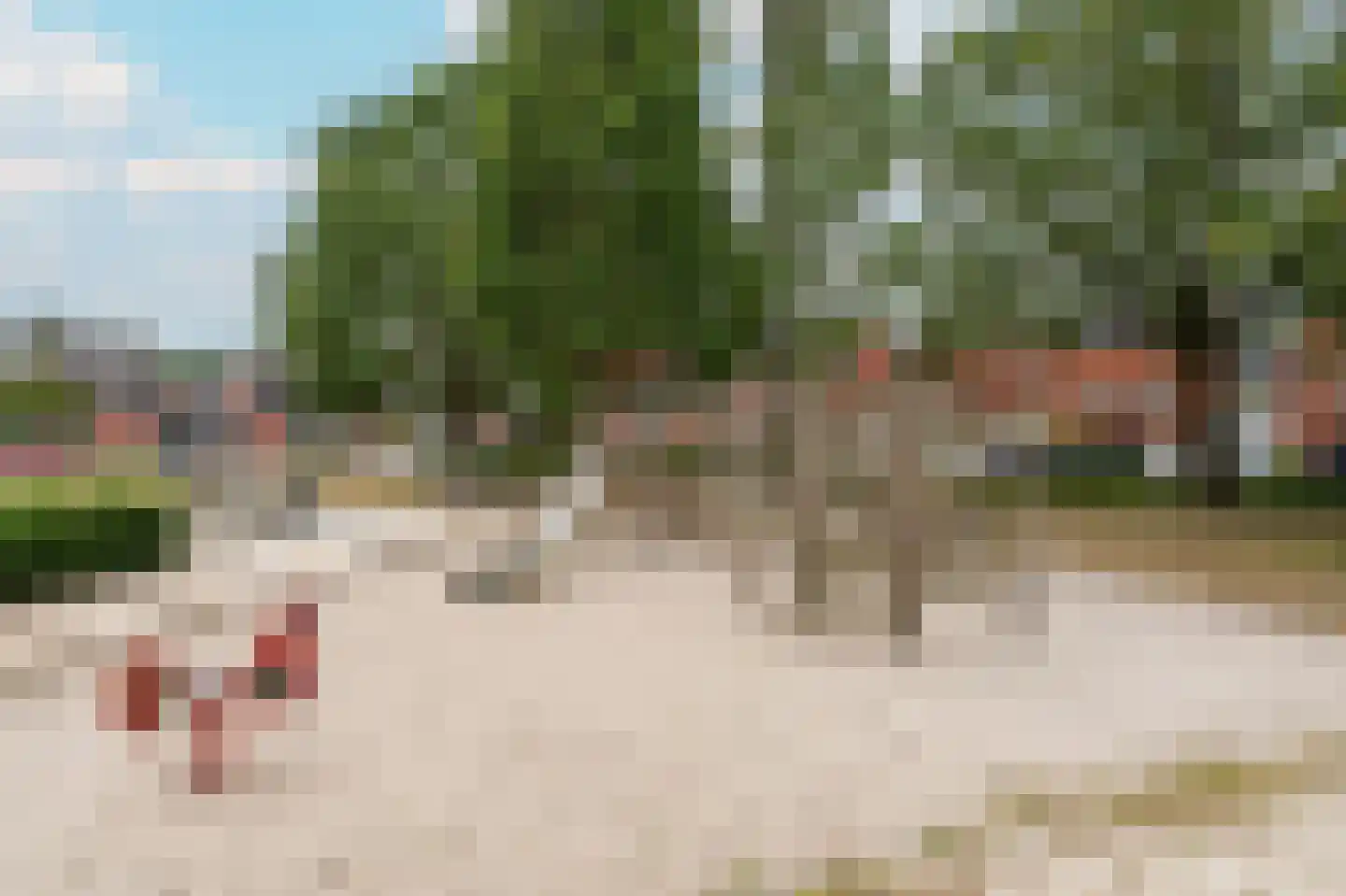 Grimselpas 5 Eindhoven thumbnail 43