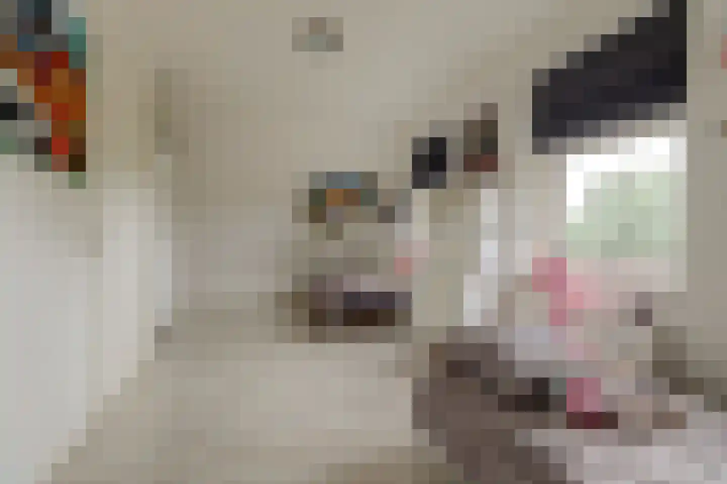 Grimspôle 9 Molkwerum thumbnail 21