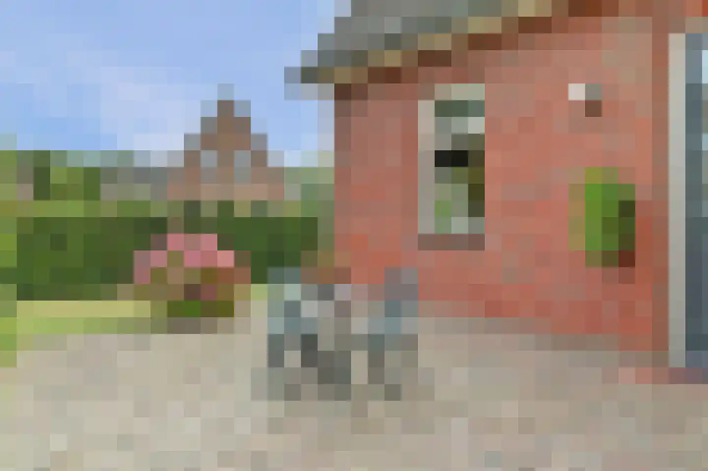 Grimspôle 9 Molkwerum thumbnail 33