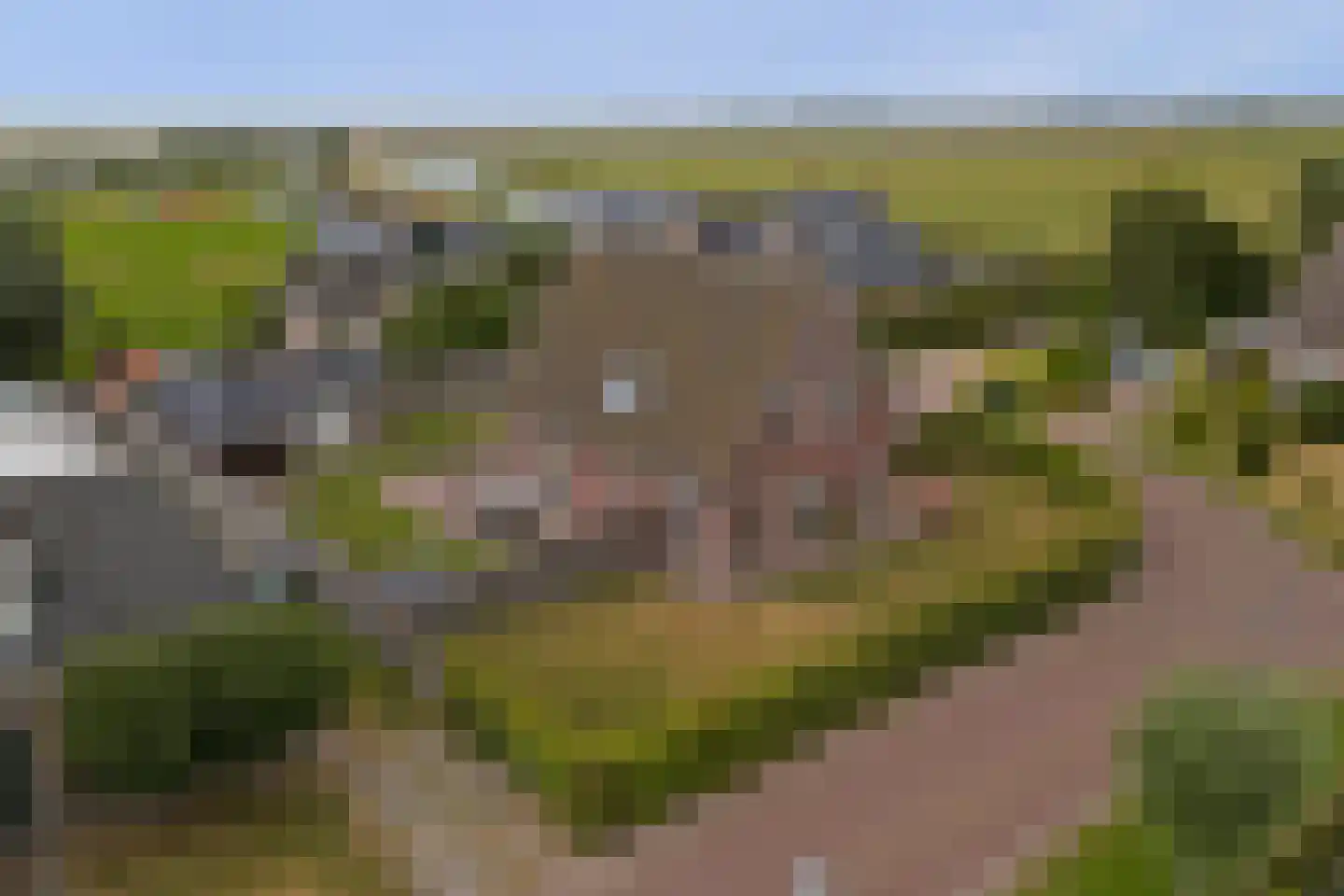 Grimspôle 9 Molkwerum thumbnail 4