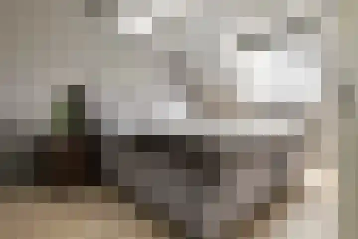 Grind 11 Deest thumbnail 18