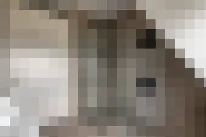 Grind 11 Deest thumbnail 23