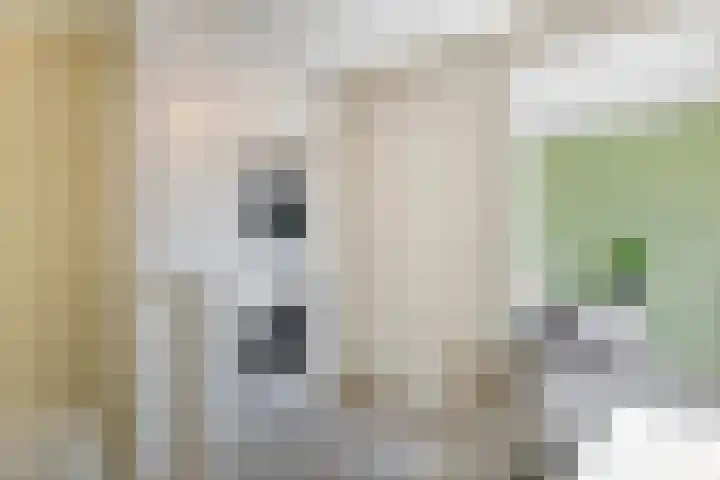 Grind 11 Deest thumbnail 28