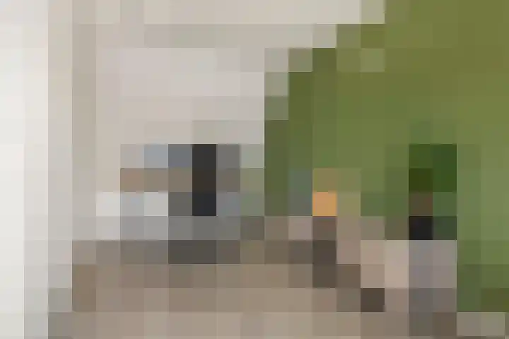 Grind 11 Deest thumbnail 31