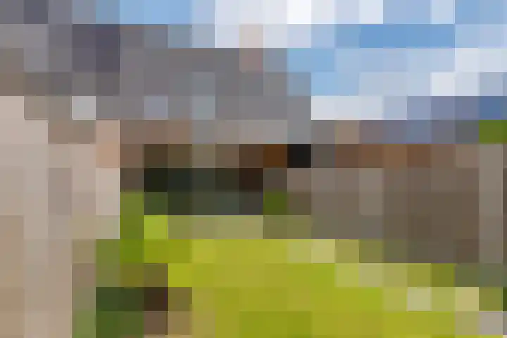 Grind 11 Deest thumbnail 32