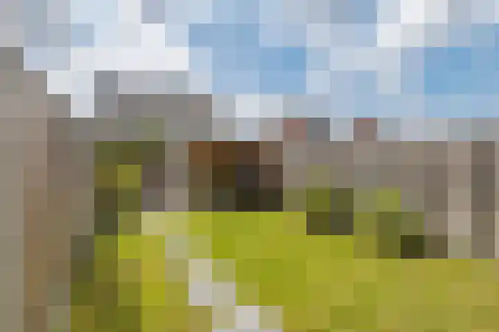 Grind 11 Deest thumbnail 34