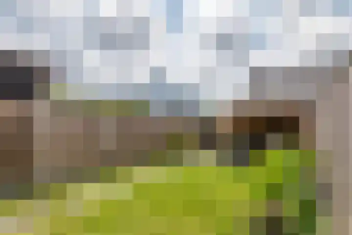 Grind 11 Deest thumbnail 35