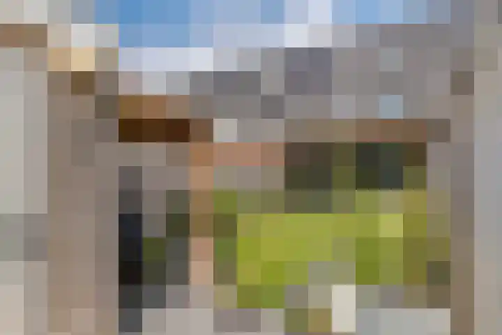 Grind 11 Deest thumbnail 36