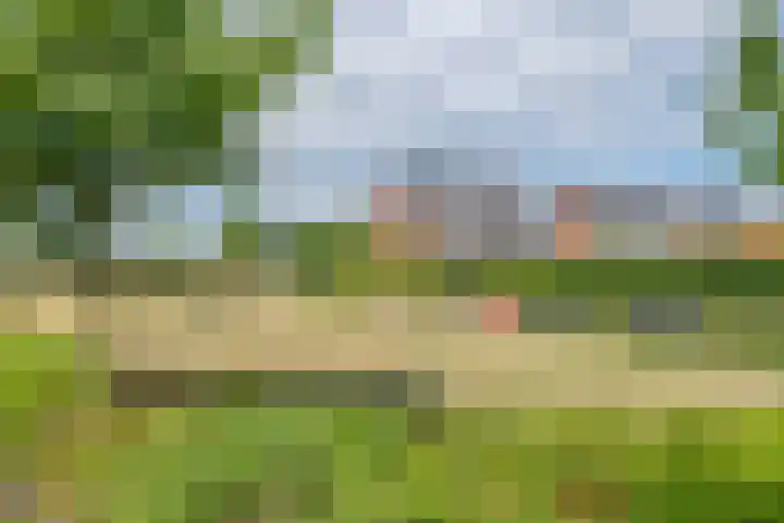 Grind 11 Deest thumbnail 39