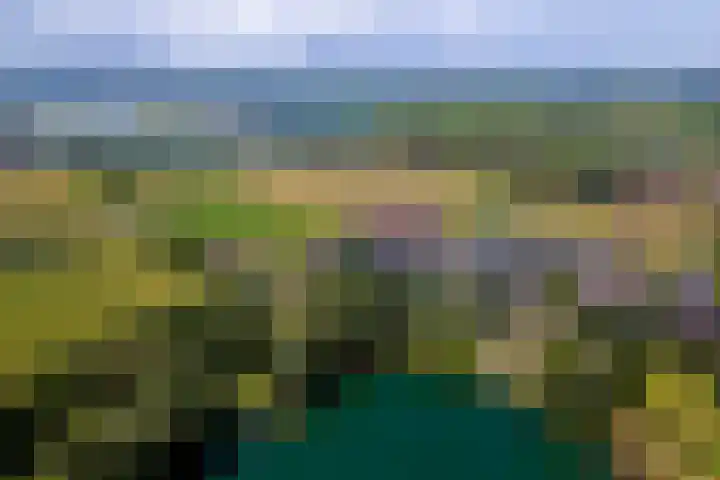 Grind 11 Deest thumbnail 40