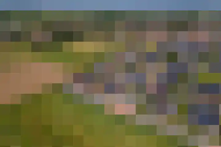 Grind 11 Deest thumbnail 42