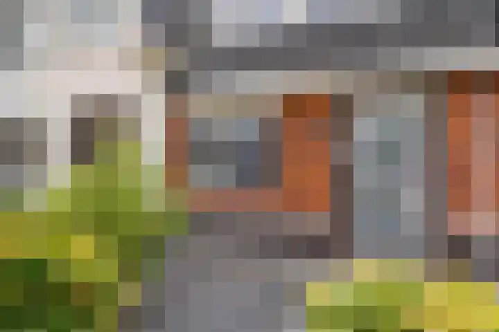 Grind 11 Deest thumbnail 5
