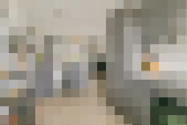 Grind 11 Deest thumbnail 7