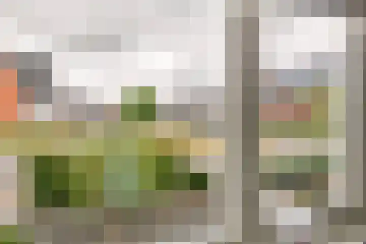 Grind 11 Deest thumbnail 9
