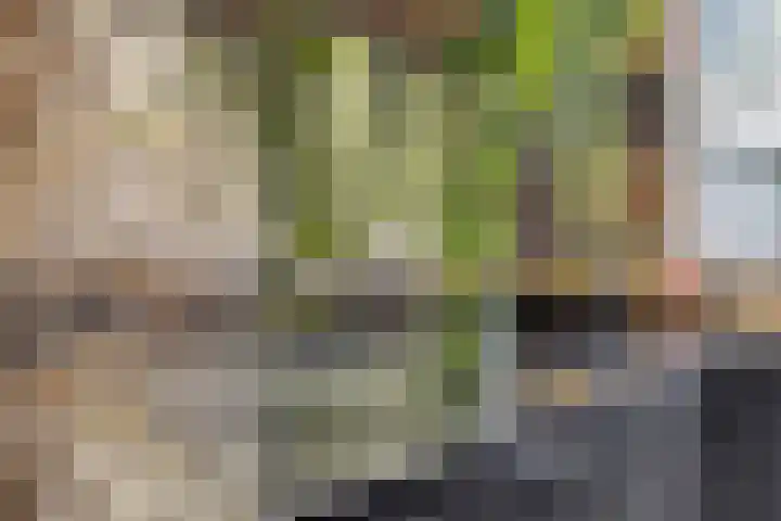 Grind 13 Deest thumbnail 14