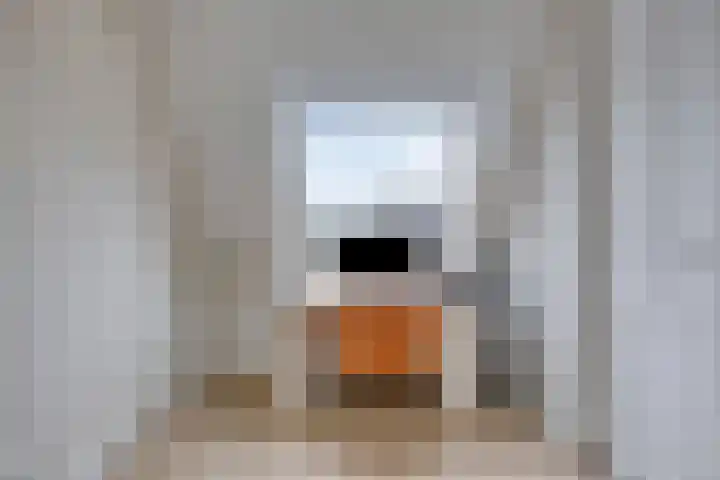 Grind 13 Deest thumbnail 36